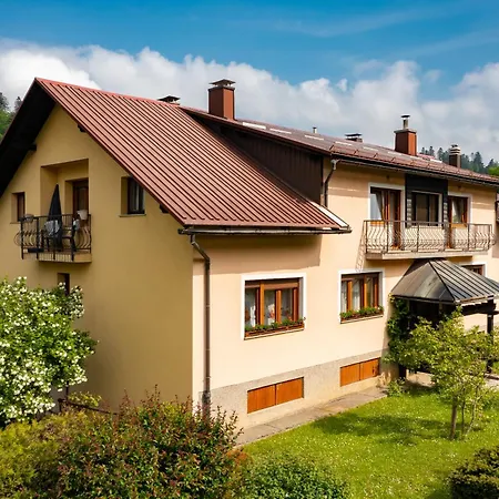 Gruzdovo 公寓 *