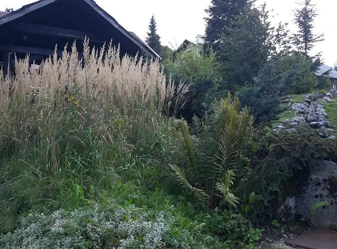 Gruzdovo *