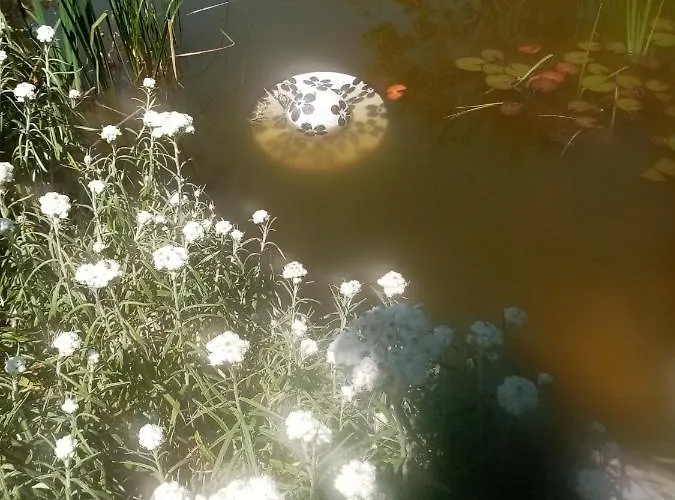 Gruzdovo * דלניצה