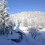 Gruzdovo 아파트 델니체