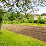 Gruzdovo 아파트