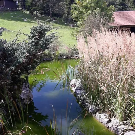 Apartment Gruzdovo