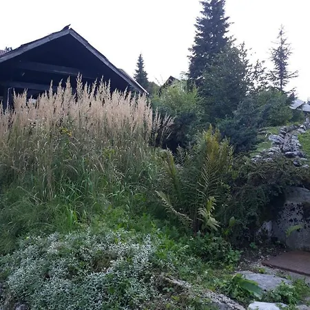 Gruzdovo *