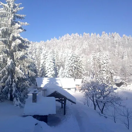 Gruzdovo Daire Delnice