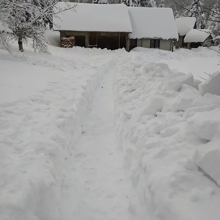 Gruzdovo