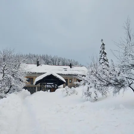 Gruzdovo Apartment *