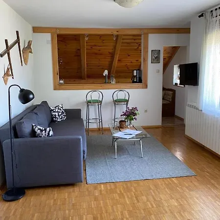 Apartment Gruzdovo Delnice