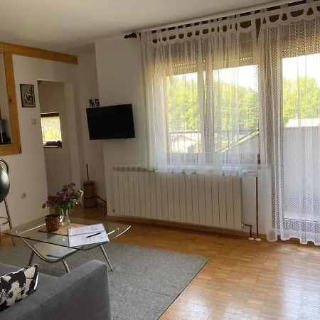Gruzdovo Apartment Delnice