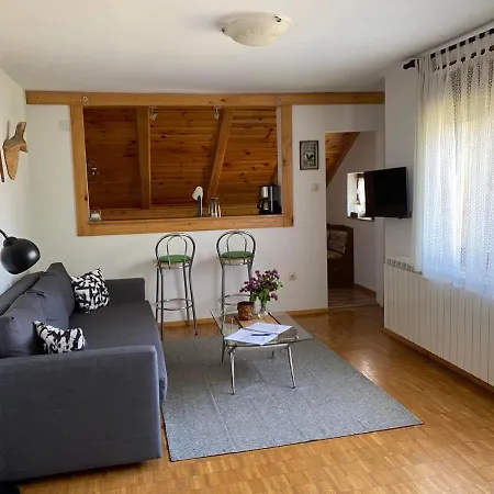 Gruzdovo Apartment Delnice