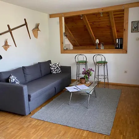 Apartment Gruzdovo Delnice