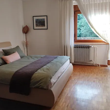Gruzdovo Apartment