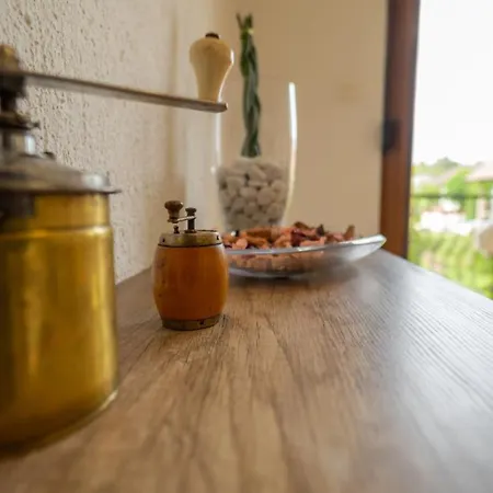 Gruzdovo Apartment Delnice