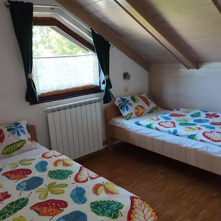 Gruzdovo Daire *