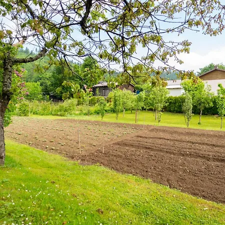Gruzdovo Daire