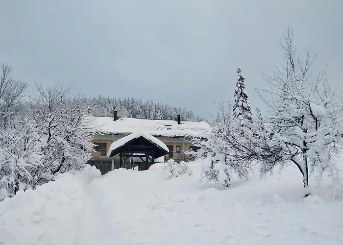 Gruzdovo Apartman *