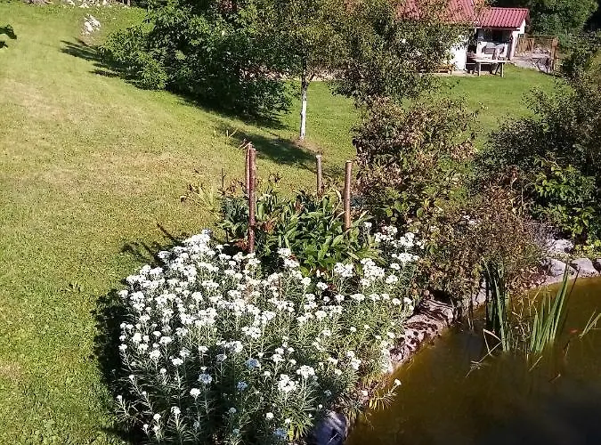 Apartman Gruzdovo *